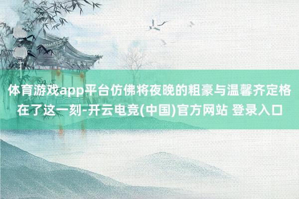 体育游戏app平台仿佛将夜晚的粗豪与温馨齐定格在了这一刻-开云电竞(中国)官方网站 登录入口